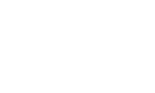 Champion Porsche